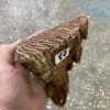 mammoth tooth