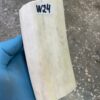 Walrus tusk
