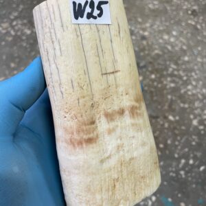 Walrus tusk for scrimshaw knifehandl carving 1.27 lb W25