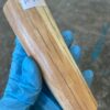 Walrus tusk for scrimshaw knifehandl carving 0.55 lb W60