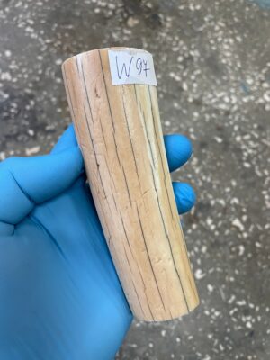 Walrus tusk
