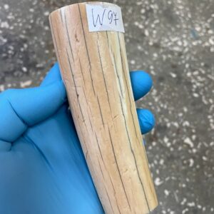 Walrus tusk