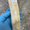 Walrus tusk for scrimshaw knifehandl carving 0.51 lb W107