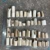 walrus tusk