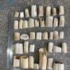 walrus tusk off cutting