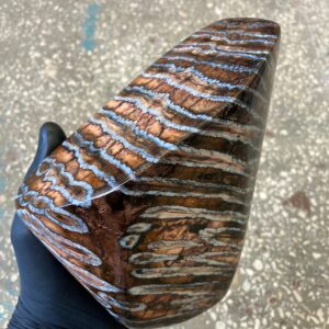 Mammoth tooth