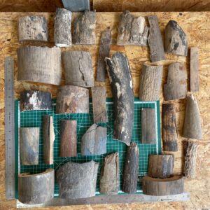 Mammoth tusk bark