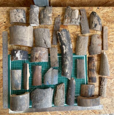 Mammoth tusk bark