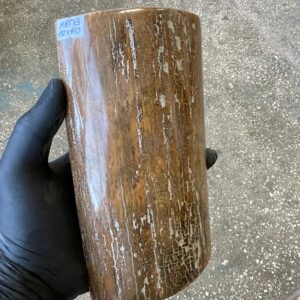 Mammoth Tusk Bark Scale