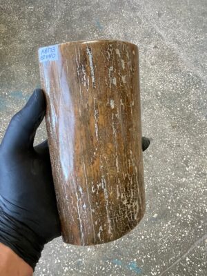 Mammoth Tusk Bark Scale