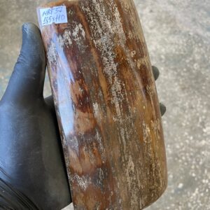 Mammoth Tusk Bark Scale