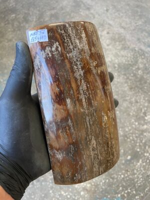 Mammoth Bark Scale