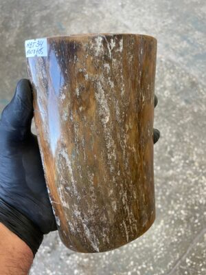 Mammoth Tusk Bark