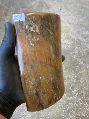 Bark Scale