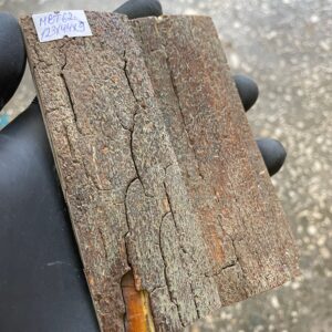 Mammoth Bark Tusk Scales