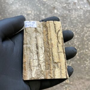 Mammoth Bark