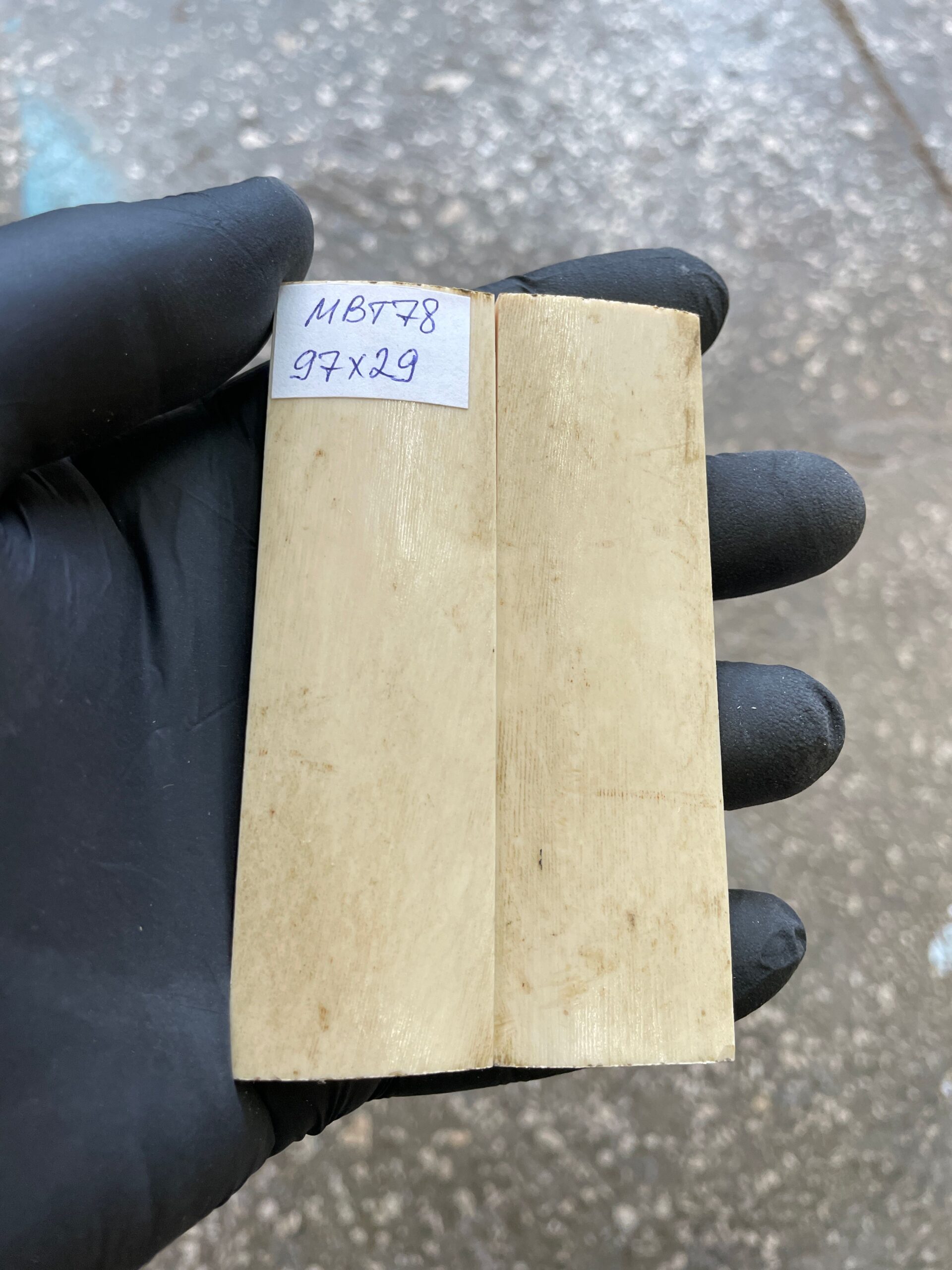 5218502346 Tusk Pair