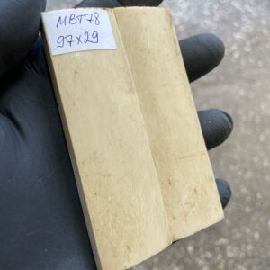 white mammoth tusk bark