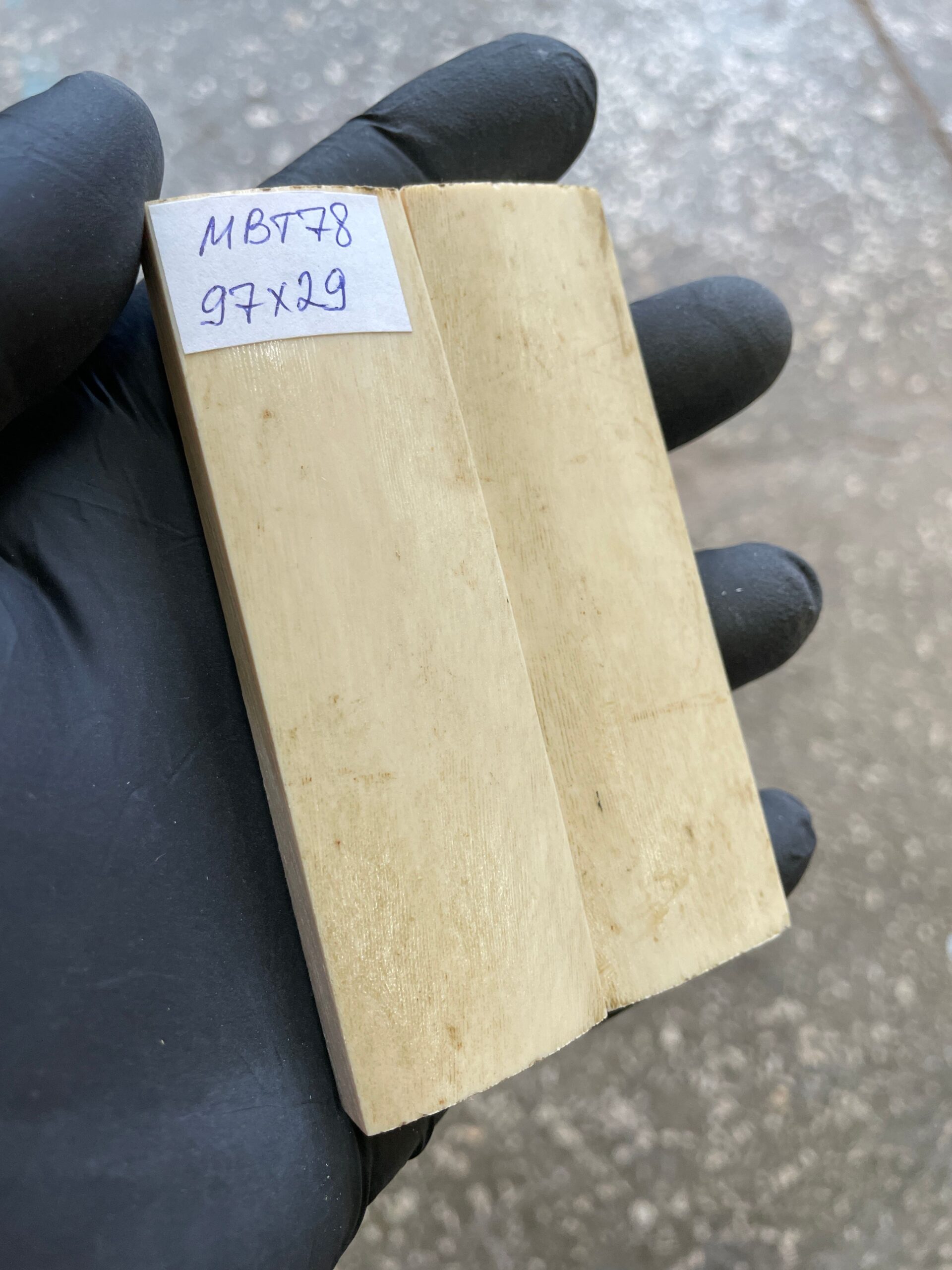 5218522281 white mammoth tusk bark