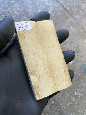 Mammoth Bark Ivory Scales