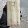 Walrus Tusk Block for Scrimshaw Carving Knife Handle
